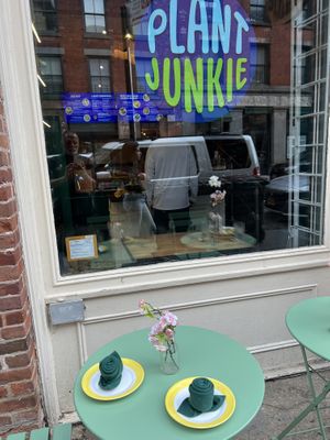   at Plant Junkie - Front St in New York City