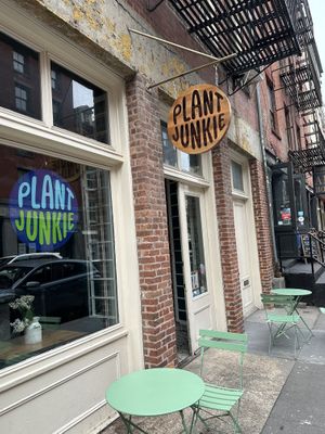   at Plant Junkie - Front St in New York City