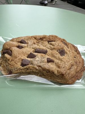   at Plant Junkie - Front St in New York City