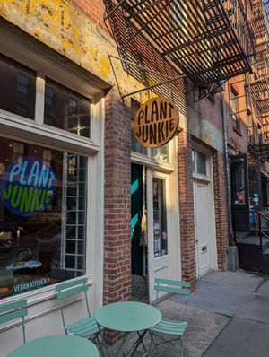  at Plant Junkie - Front St in New York City