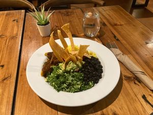 Yucatan Smack at Plant Junkie - Front St in New York City