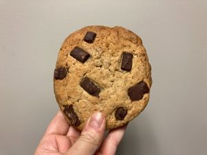 Huge cookie at Plant Junkie - Front St in New York City