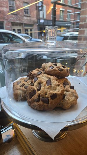  at Plant Junkie - Front St in New York City