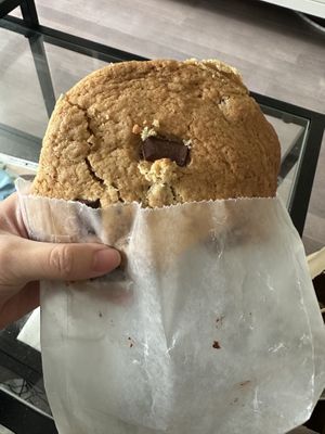 Chocolate Chip Cookie  at Plant Junkie - Front St in New York City