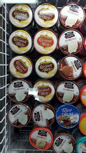 vegan ice cream at Organica in Panama City