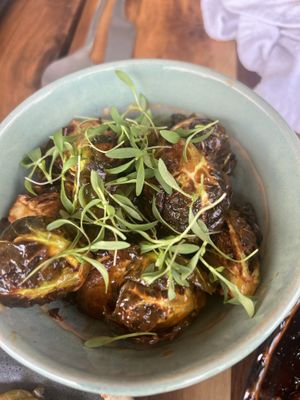 Brussels   at SLVJ Masaryk in Mexico City