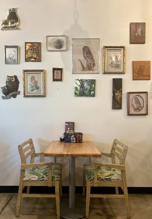 Owls over table #Veganuary at The Toasted Owl Cafe in Phoenix