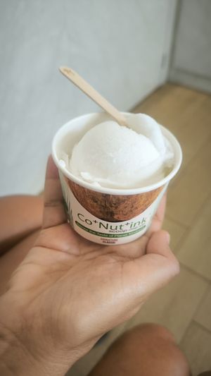 Classic coco ice cream at Co+Nut+Ink - Haji Ln in Central Singapore
