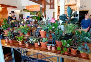 Always eat plants(but not these ones). at Harlow in Portland