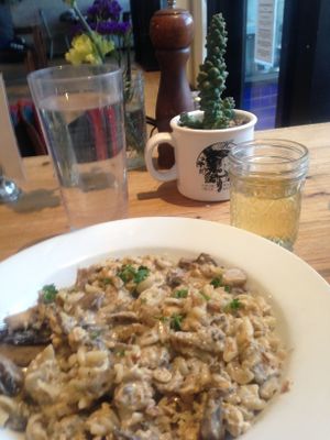 Mushroom stroganoff: delicious and creamy at Harlow in Portland