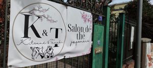 Logo at Kitsuné & Tanuki in Colmar