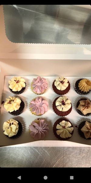 Fünf superleckere Variationen an Veganen Mini Cupcakes 🤤 at Le Petit Gateau - No Storefront in Kiel