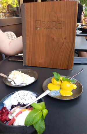 Dessert variation - top left hot banana, top right mochi and mango ice cream, bottom: sticky rice with hot coconut sauce and ice cream at Bodhi Vegan Living - St George in Hamburg