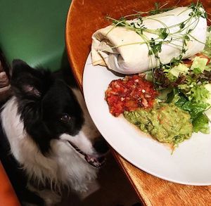 Burrito at Vegtral Restaurace in Prague