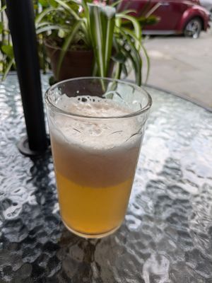  at Roots in Mexico City