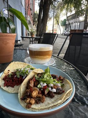   at Roots in Mexico City