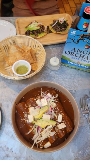The vegan mole enchiladas and mushroom tostadas at El Mictlan BYOB Restaurant in Philadelphia