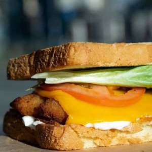  at Plant Bun in Asti