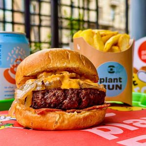  at Plant Bun in Asti