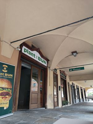 Plant Bun in Asti at Plant Bun in Asti