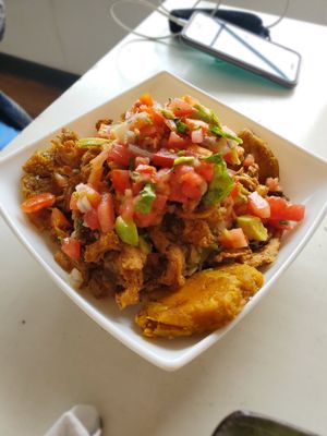 Sollofrijo at Arbol de Seda in San Jose