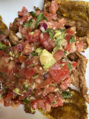 Sollofrijo  at Arbol de Seda in San Jose