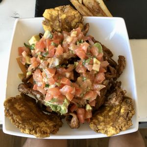 Sollofrijo at Arbol de Seda in San Jose