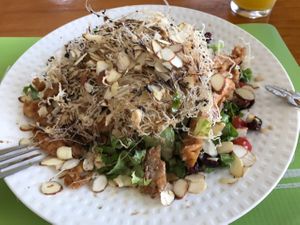 starter at Arbol de Seda in San Jose