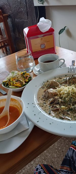  at Arbol de Seda in San Jose