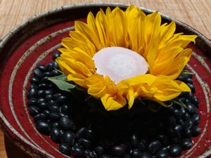 Kakugei mame at Qing Ya Cha Su - 青雅茶素 in Hangzhou