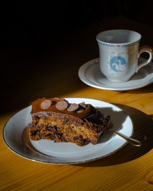  at Le Canithé in Toulouse