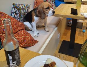 La star du Canithé at Le Canithé in Toulouse