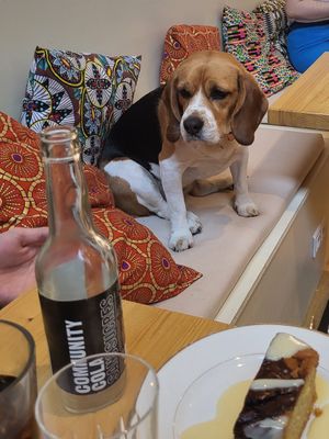 🥰 at Le Canithé in Toulouse