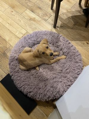   at Le Canithé in Toulouse