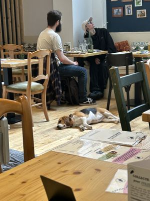   at Le Canithé in Toulouse