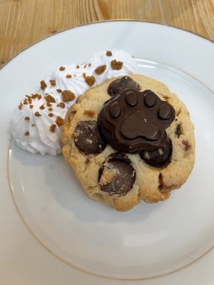   at Le Canithé in Toulouse