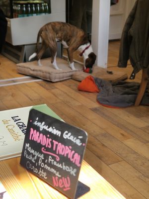  at Le Canithé in Toulouse