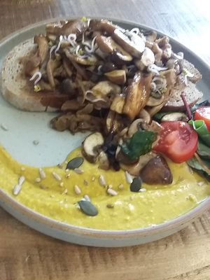 Nice brunch with mushrooms and all at Eleven 11:11 Eleven in Hamburg