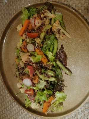 Roasted veg with quinoa at High Tide in Male