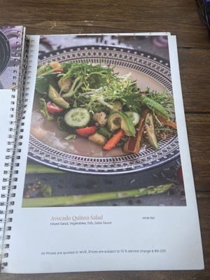   at High Tide in Male