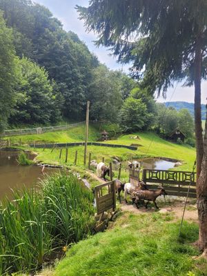  at Lebenshof MutimBauch in Ottenhoefen Im Schwarzwald