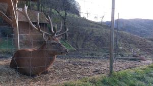  at Lebenshof MutimBauch in Ottenhoefen Im Schwarzwald