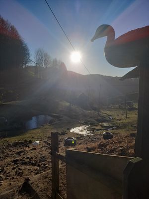  at Lebenshof MutimBauch in Ottenhoefen Im Schwarzwald