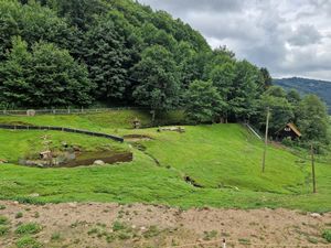  at Lebenshof MutimBauch in Ottenhoefen Im Schwarzwald