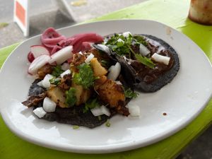 tacos!  at Vegano Mexicano in Portland