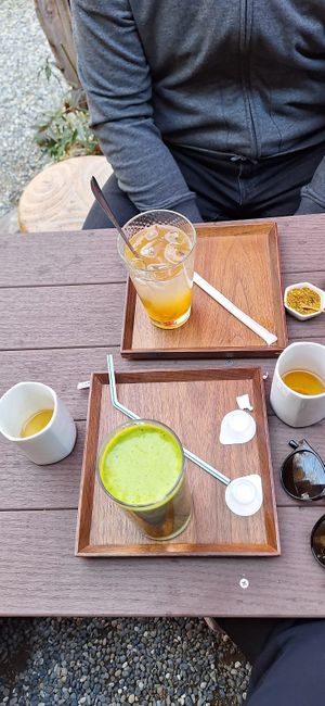  at Ogura Cha-Ya in Kyoto