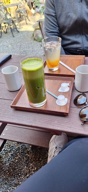  at Ogura Cha-Ya in Kyoto