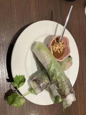 Spring Rolls (with mushrooms and eggplant) at Nha Viet Nam - Kyoto in Kyoto
