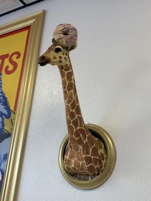   at Chani's Donuts in San Diego