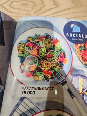 Falafel salad at Socials Minor in Tashkent